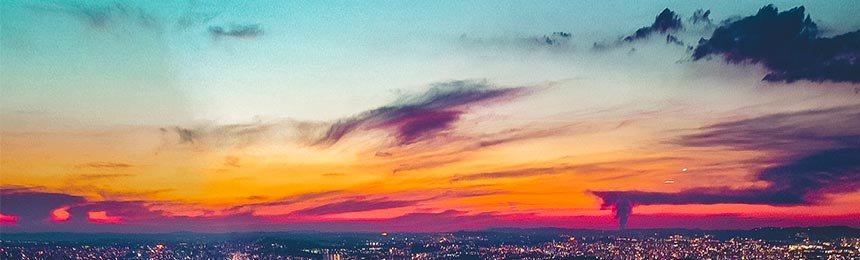 永康茶虫网_永康品茶